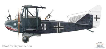C_AEG G.IV White VII, mid to late 1918.jpg