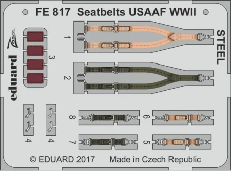 FE817.jpg