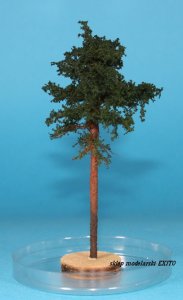 FREON SOD3 - Sosna - wysokość 8-12 cm