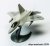 J6005-Raptor-1(1).jpg