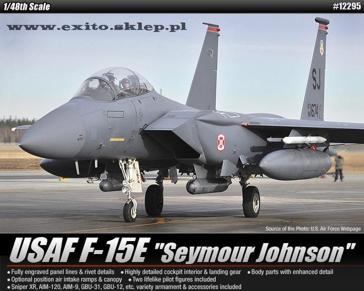 12295_F-15E_Seymour_Johnson_main(2).jpg