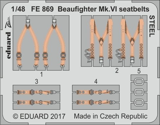 FE869.jpg