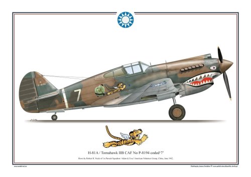 Przejdź do produktu Exito 006 - Plakat H-81A / Tomahawk II B CAF