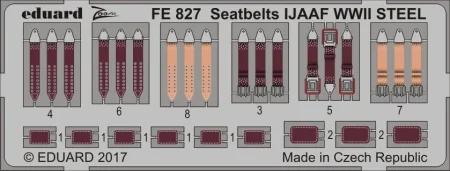 FE827.jpg