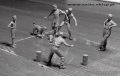 35149_4.jpg