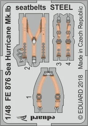 FE876.jpg