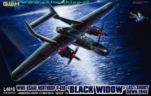 Przejdź do produktu GREAT WALL HOBBY 4810 - 1:48 Northrop P-61B Black Widow - Last Shoot Down 1945