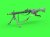 GM-35-024_02.jpg