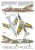 special hobby-72345 (3).jpg