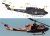 KITTY HAWK-80158 (5).jpg