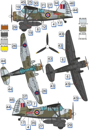 dora wings-72023 (3).jpg