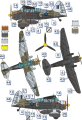 dora wings-72023 (4).jpg