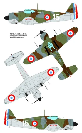 dora wings-48019 (6).jpg