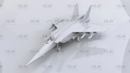 icm-48905 (2).jpg