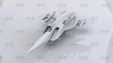 icm-48905 (5).jpg