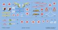 ED72007_decal_sheet.jpg