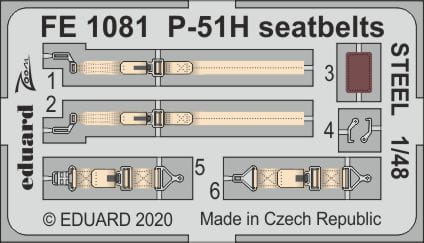 FE1081.jpg