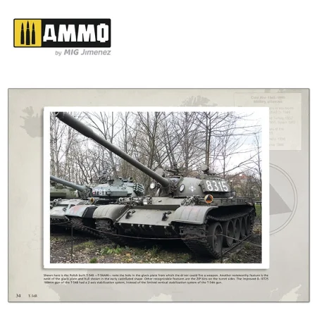 AMMO MIG-6032 (6).jpg