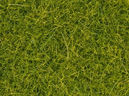 08363-streugras-hellgr_n-4mm-scr.jpg