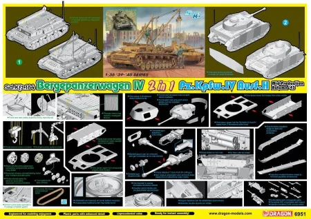 DRAGON-6951 (1).jpg