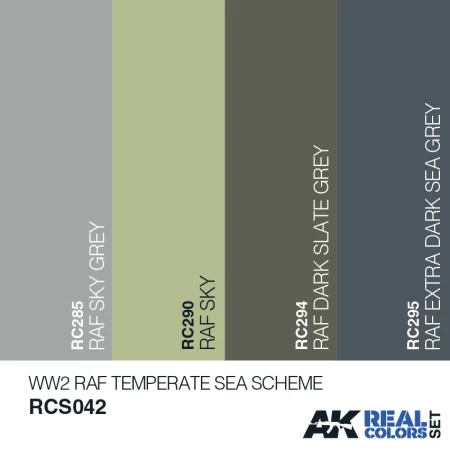 AK-RCS042 (2).jpg