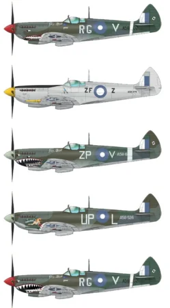 d48049 (1).jpg