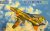 kittty hawk-80146ver2.jpg