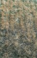 bsm-400105.jpg