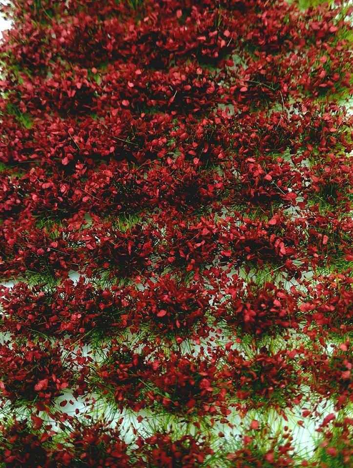 BSM-200103.jpg