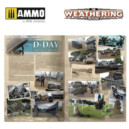 AMIG4530 (9).jpg