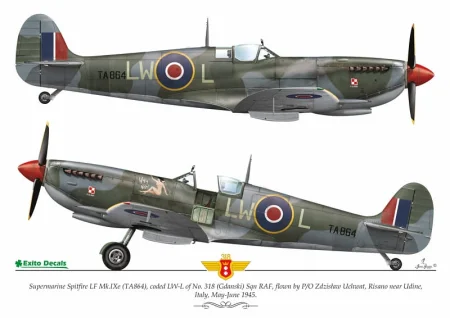 exito_decals-3_str5.jpg