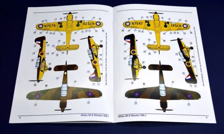 DORA WINGS-DW48033 (5).jpg