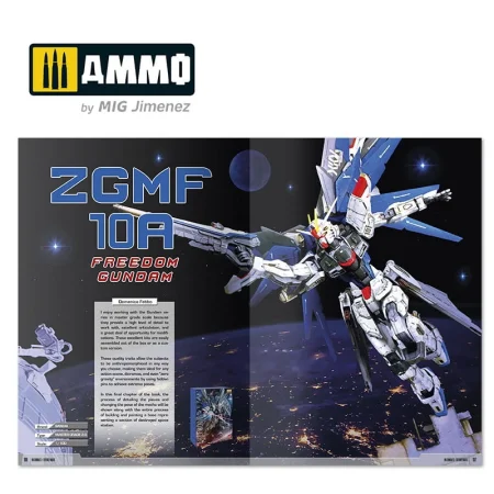 AMIG6086 (8).jpg