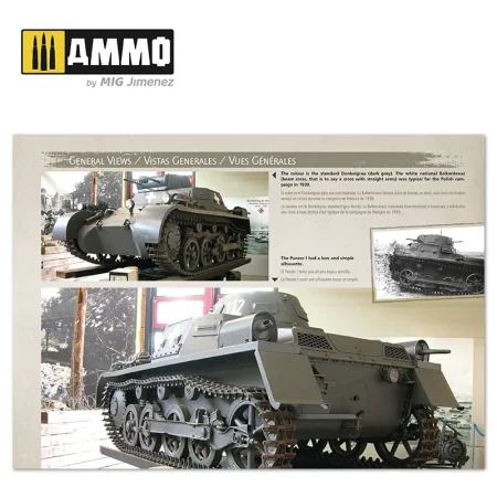 AMIG6083 (4).jpg