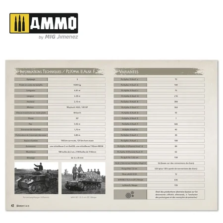AMIG6083 (9).jpg