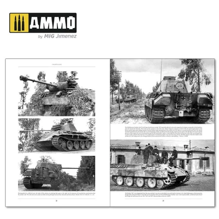 ammomig-6263 (2).jpg