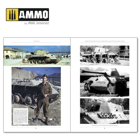 ammomig-6263 (3).jpg