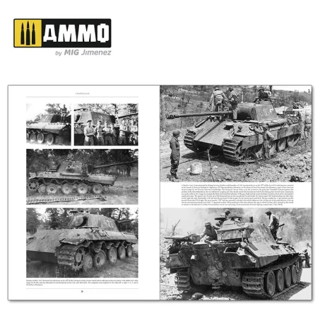 ammomig-6263 (9).jpg