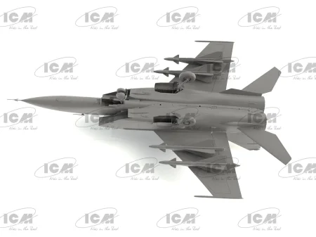 icm-72177 (9).jpg