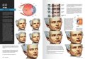 AK630-FAQ-FIGURAS15.jpg