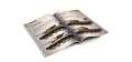 A.MIG-6145_PAGES_1500.jpg