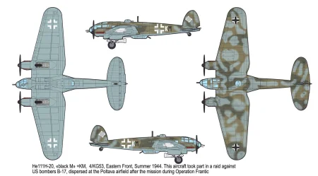 Roden-344 (2).jpg