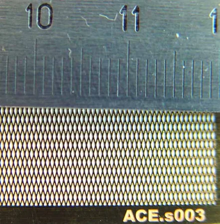 s003.jpg