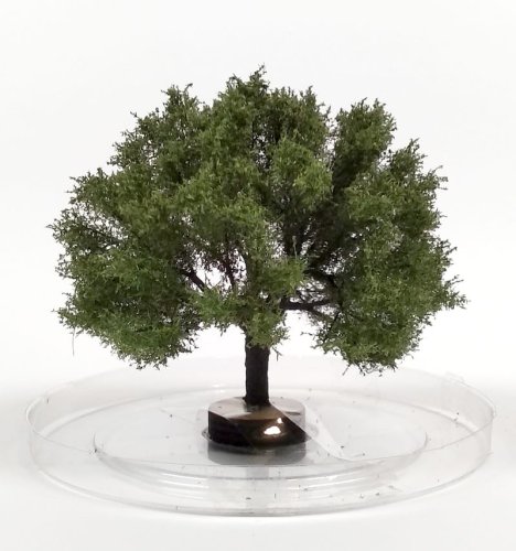 Przejdź do produktu FREON DO1 - Drzewo Oliwne - wysokość 6-8 cm