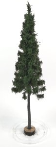 FREON SGPN1 - Świerk Górski - wysokość 28-30 cm