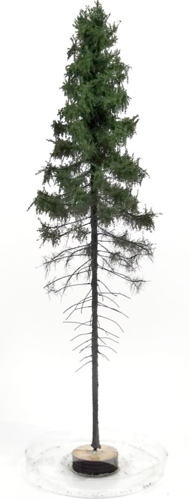 freon-sgpw1 (1).jpg