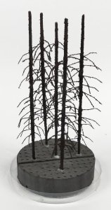 FREON SP2 - Suche Pnie - wysokość 14-16 cm - zestaw 5 szt