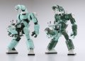 HASEGAWA-CW21.jpg