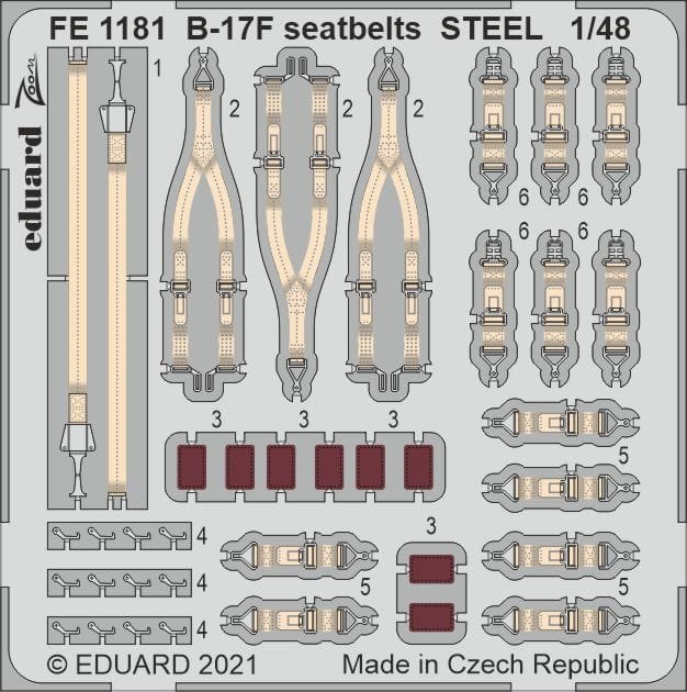 FE1181.jpg