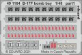 491184.jpg